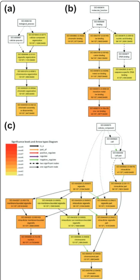 Figure 6 Gene Ontology termand (c) cellular component branches. The classification terms andtheir serial numbers are represented as boxes
