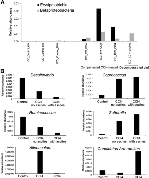 FIG 2 Microbial groups in ileocecal contents (ICC) samples involved in the severity of cirrhosis
