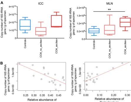 FIG 4 Quantiﬁcation of the microbiota by real-time PCR on the 16S rRNA gene and correlation with microbiome composition