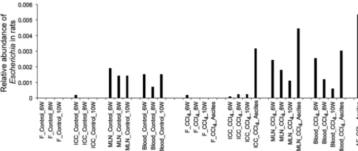 FIG 6 Detection of 16S sequences of Escherichia in rat samples. ICC, ileocecal content; MLN, mesenteric lymphnode; AF, ascitic ﬂuid; F, feces.