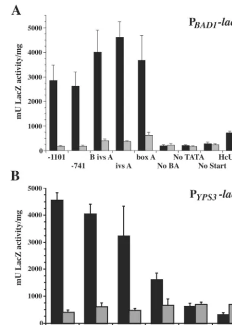 FIG. 2. �26199 transformed withto the designations indicated in Table 1 and/or Fig. 2