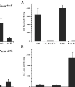 FIG. 3. �G217B transformants in which thewere analyzed forexperiments, and the results were averaged
