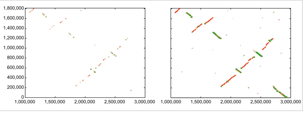 Figure 1A. fumigatus Nucmer. Right: amino-acid-based alignment with Promer. Aligned segments are represented as dots or lines, up to 3,000 bp long in the Nucmer alignment Dot-plot alignments of a 2.9 Mbp chromosome of (x-axis) to a 2.1 Mbp scaffold of A
