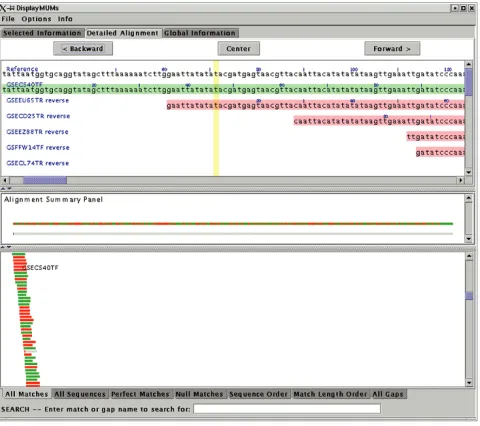 Figure 2Sample display from DisplayMUMs, showing whole-genome alignment of Staphylococcus epidermidis individual shotgun reads (query sequences) to a contig from the genome