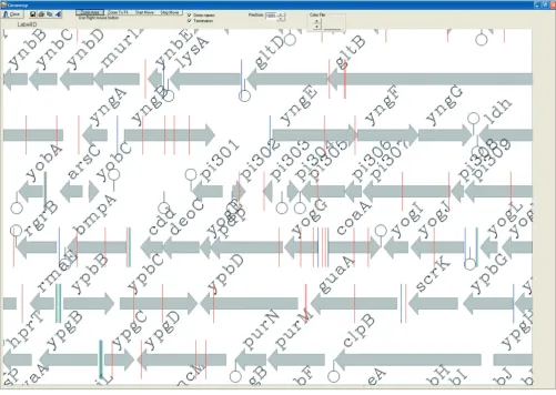 Figure 1Genome2D visualization of the genomic organization of L. lactis IL1403 (GenBank annotation: AE0051576)