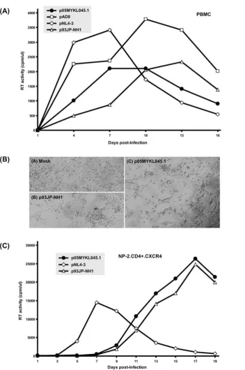 Figure 2. Replication kinetics and virological properties of HIV-1 CRF33_01B molecular clone p05MYKL045.1