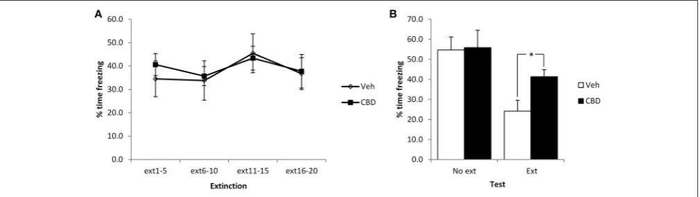 FIGURE 1 | Pre-extinction CBD attenuates the subsequent decline in contextual freezing following weak conditioning