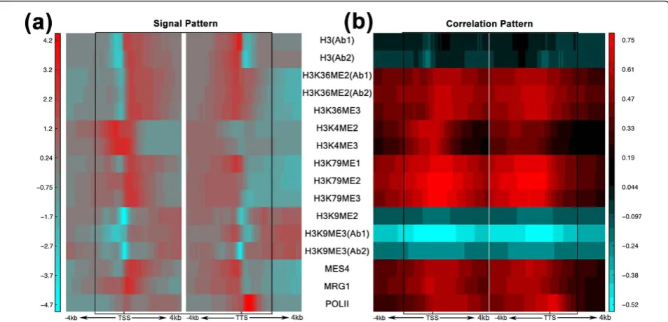 Figure 2 Chromatin feature patterns. (a,b) Signal pattern (a) and correlation pattern (b) of each chromatin feature in the 160 bins around theTSS and TTS (from 4 kb upstream to 4 kb downstream) of worm transcripts at the EEMB stage