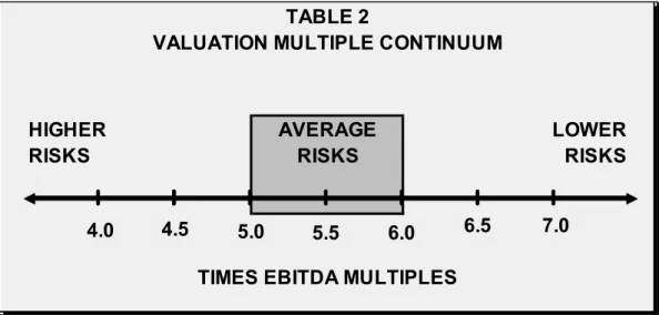 Table 2 provides a graphical representation of this continuum of agency value multiples