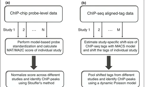 Figure 1 The workflow of MM-ChIP. Workflow illustrated for (a) ChIP-chip (b) and ChIP-seq data