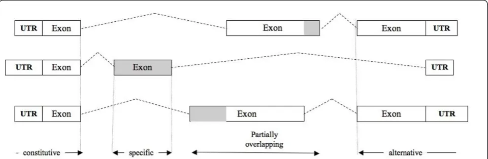 Figure 1 Scheme of possible scenarios for comparing different isoforms. Only peptides mapping in the products of shaded regions areconsidered specific.