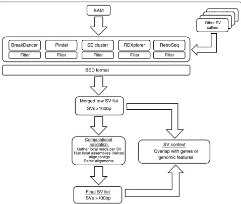Table 1 Structural variation callers used in SVMerge