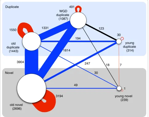 Figure 4 Schematic view of the interactions between different age/origin groups in the yeast protein physical interaction networkThe age/origin groups are represented by nodes, with node size illustrating the group size, and the number of genes in each gro
