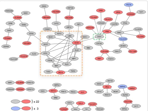 Figure 6 Subnetwork of the yeast protein physical interaction network consisting of young novel proteins and their first-degreeneighbors