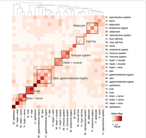 Figure 3 Hierarchical clustering heatmap of Pearson correlation coefficients between major tissue types of human and mouse