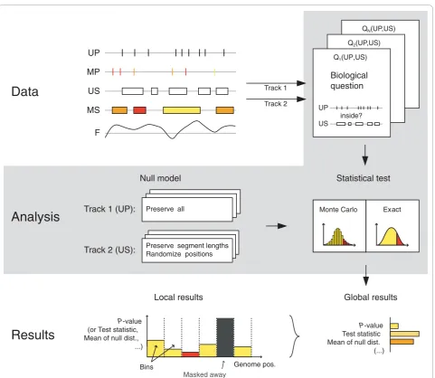 Figure 1 Flow diagram of the mathematics of genomic tracksgenome (or area of study), and for a local analysis
