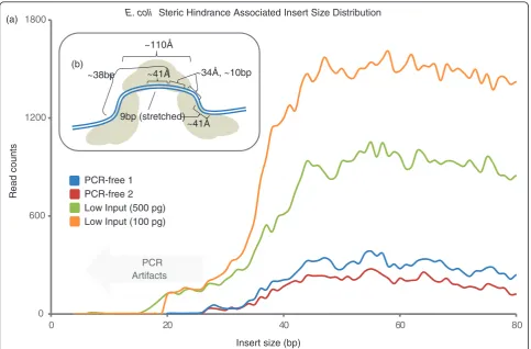 Figure 4 Insert size showing steric hindrance. (a) Insert size was generated from libraries spiked into a paired-end 101 bp run resulting in alarge proportion of reads reading into the adaptor sequence