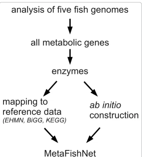Table 1 Metabolic Enzymes found in five fish genomes