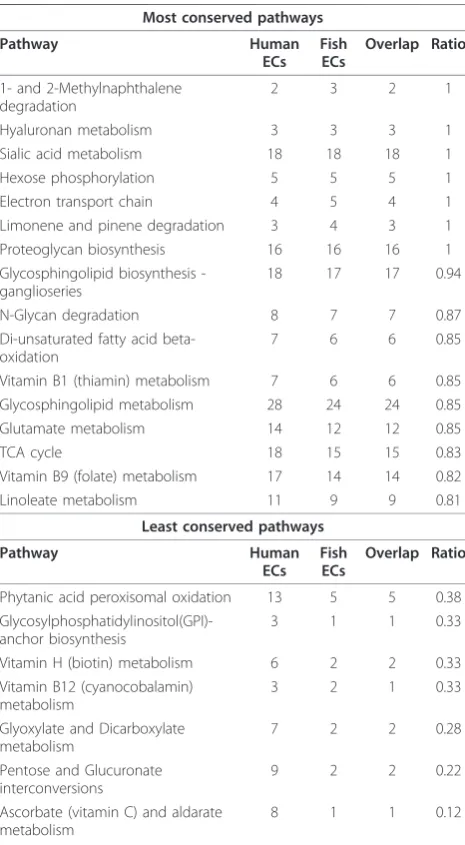 Table 2 Comparisons between fish and human orthologs