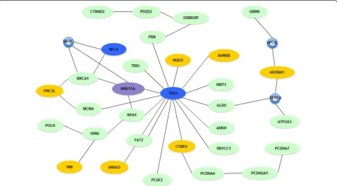 Figure 5 DNA recombination, replication and repair network. In HCC1954, genes that have somatic point mutations (blue), ASE (yellow),LOH (green), or translocations (purple) form a DNA repair network