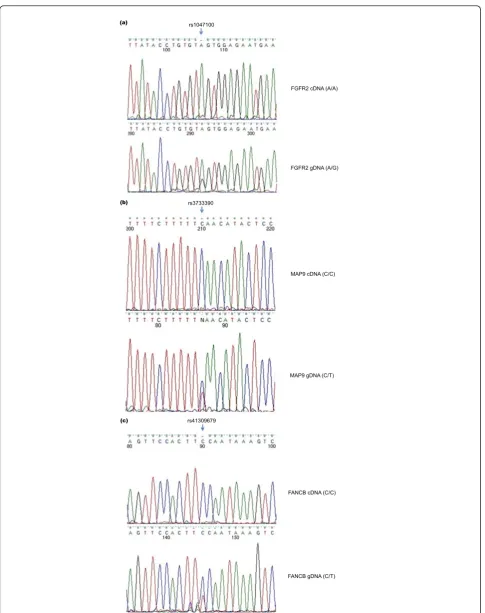 Figure 4 Validation of allele-specific expression events in HCC1954. The top trace is from cDNA, and the bottom trace is from genomicDNA (gDNA)