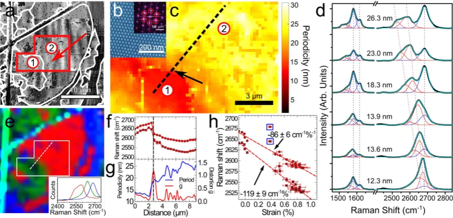 Figure 2. Correlation of Raman spectra and AFM images: (a) AFM phase image of the region shown in Fig. 1a with domain structure indicated by the white contours along with the locations of domains 1 and 2; (b) phase image of a position indicated by the arrows in (a) (inset) 2DFFT of b with first-order peaks corresponding to the moiré periodicity indicated by the red circles; (c) map of the periodicity across the region indicated by the red box in (a) showing the abrupt change in periodicity across the boundary between graphene domains 1 and 2; (d) selected Raman spectra showing the evolution of the red shifting G and 2D bands with increasing moiré periodicity indicated for each spectra; the black line is experimental data and the overlaid blue line is a Gaussian fit using, for the 2D peak, two components which are red-shifted–the red curves–and one–the purple curve–arising from the carbon aggregates; in the G region there are two new peaks together with the G and D’ peaks; (e) Raman CLS map of the hBN/graphene flake in a; blue areas indicate regions of high carbon aggregate concentrations, whilst the red and green approximate to the regions of higher and lower red shifted 2D bands, respectively; these are determined by fitting the spectrum at each point to the model spectra shown in the inset and , in more detail, in SI; (f) Raman 2D peak positions along the profile marked in (c,e); (g) profiles of the periodicity (blue line) and anisotropy (red line) across the same profile; (h) Raman shift of the 2D peaks as a function of strain for the points along the profile marked in (c); the highlighted points were acquired close to the boundary where the anisotropy is high and were not included in the calculation of the gradient.