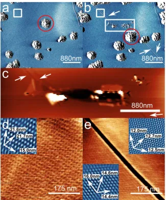 Figure 4. AFM-induced crack generation: (a) Amplitude channel AFM image of a region on the graphene surface before and (b) after damaging the sample by scanning the AFM tip in contact mode