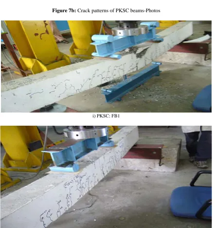 Figure 7a: Crack patterns of PKSC-C30: FB1 & 2- Line sketches  
