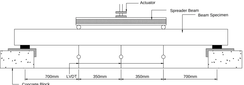 Figure 3: Test set up and Instrumentation  