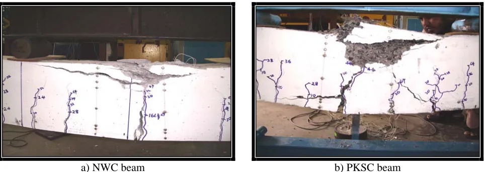 Figure 4: Failure modes of beams  