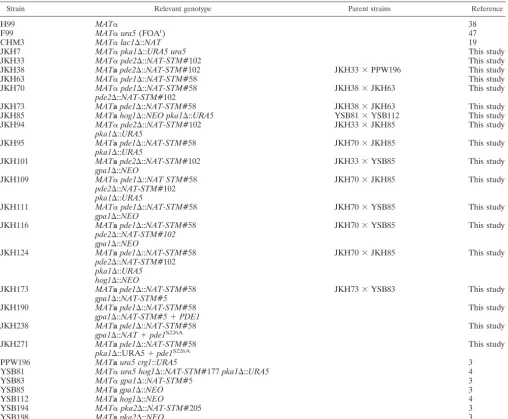TABLE 1. Strains used for this study