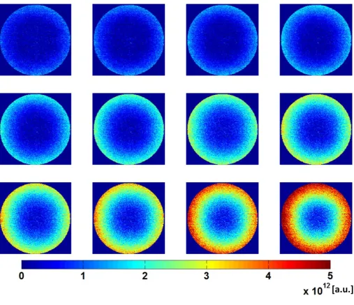 Fig. 4 (a) LDI flow maps of  LDI and (b) LSCI velocity distribution  maps simultaneously obtained at rotation speeds of 0.10, 0.20, 0.27, 0.34, 0.41, 0.54, 0.61, 0.68, 0.75, 0.82, 0.88, 0.95 rad/s (top left to bottom right)