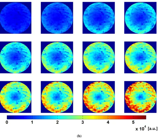 Fig. 4 (a) LDI flow maps of  LDI and (b) LSCI velocity distribution  maps simultaneously obtained at rotation speeds of 0.10, 0.20, 0.27, 0.34, 0.41, 0.54, 0.61, 0.68, 0.75, 0.82, 0.88, 0.95 rad/s (top left to bottom right)
