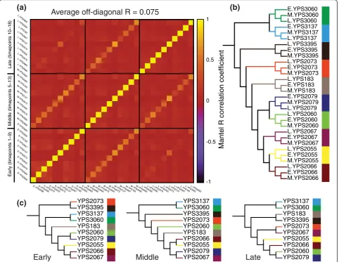 Figure 2 Strain divergence in CDC-transcriptome coexpression within and between CDC-phase groups