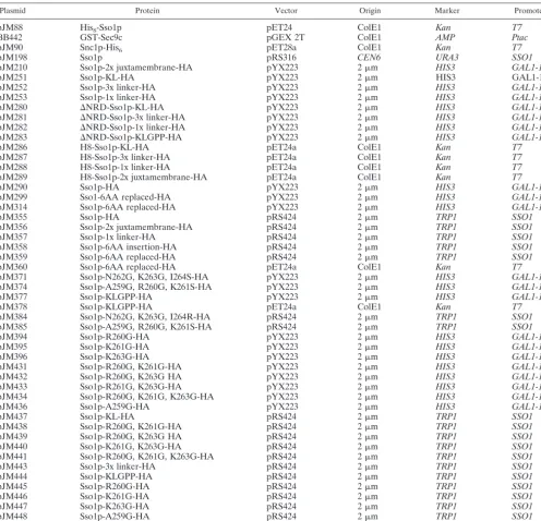 TABLE 2. SNARE constructs