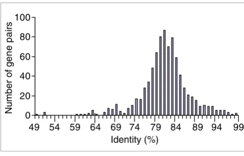 Figure 1Frequency of gene pair identities between MoPn and D/UW-3Frequency of gene pair identities between MoPn and D/UW-3