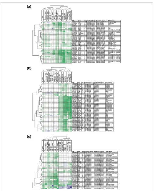 Figure 6 (see legend on next page)