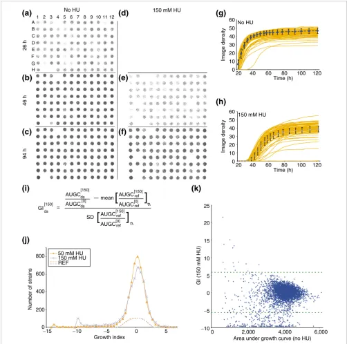 Figure 2Overview of phenotypic array and growth index (GI)
