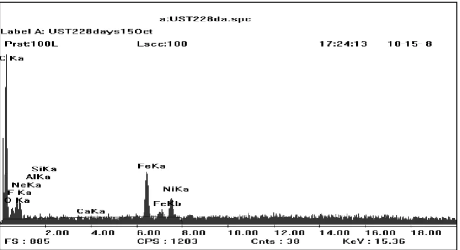 Figure 4: Scanning electron micrograph of a) original peat soil b) stabilized peat 