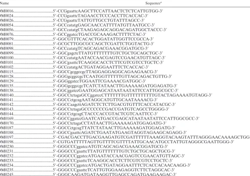 TABLE 1. Oligonucleotides used in these studies