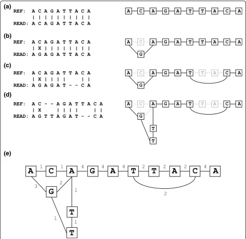 Figure 6 The creation of a variant graphnew nodes are added creating a path from the previously existing SNP at the second position to the reference base at the second position.
