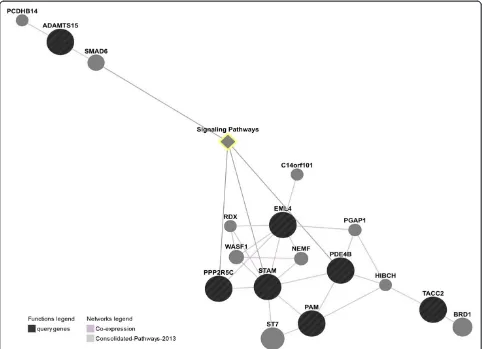 Figure 4 Functional network of 10 mRNA obtained by GeneMANIA analysis. Color representations: purple co-expression, dark referred tothe target mRNAs