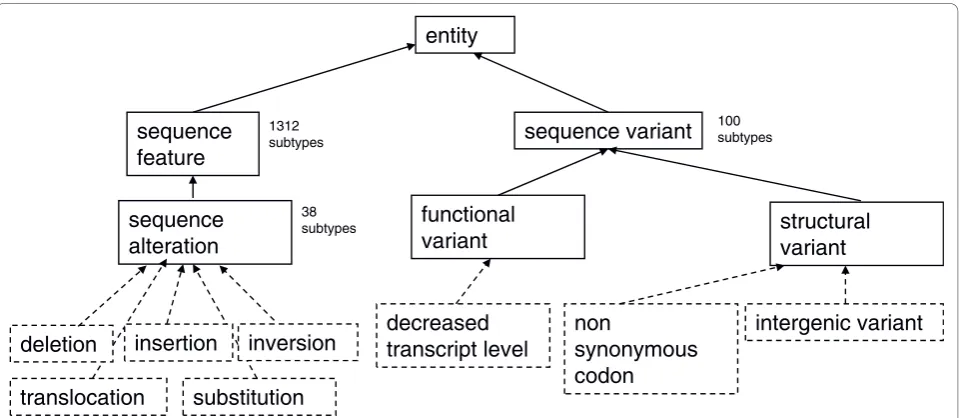 Figure 1 The top-level terms in the Sequence Ontology used in variant annotationsequence features