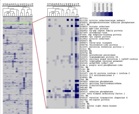 Figure 2 Hierarchical clustering showing the expression pattern of transcripts expressed more than once in any of the 16 differentshown in an increasing scale from grey to dark blue, and are based on frequencies of ESTs in each library (see Materials and m