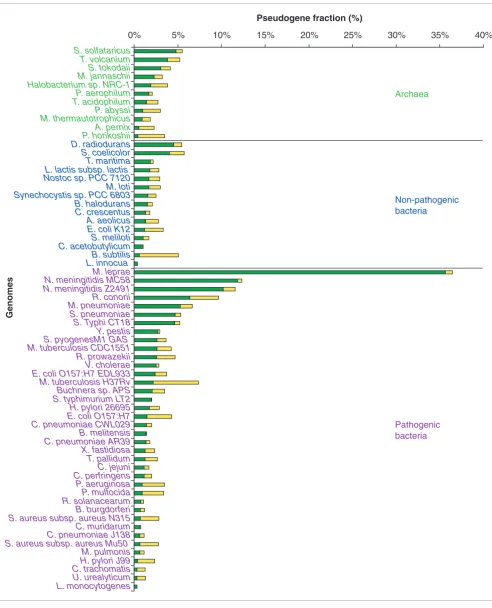 Figure 2Fractions of pseudogenes in the 64 prokaryote genomes