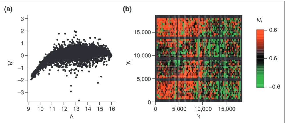 Figure 1M The columns with consistently negative Intensity and spatial distribution of raw log intensity ratios of slide 3 of the SW480/620 experimentIntensity and spatial distribution of raw log intensity ratios M of slide 3 of the SW480/620 experiment