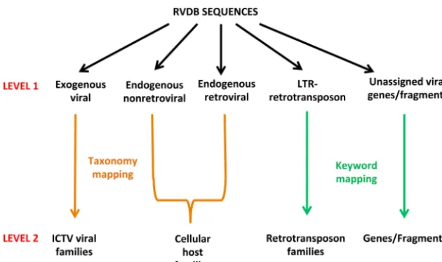 FIG 2 Characterization of RVDB sequences. Sequences in RVDB were sorted into viral categories by usingspeciﬁc criteria derived from SEM-R (level 1) and then further grouped into families on the basis oftaxonomy or group-speciﬁc keywords (level 2)