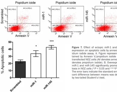 Table 3. Cell cycle analysis of NOZ cell line ex-pressing miR-1 and miR-145