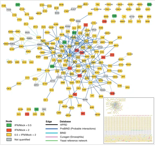 Figure 4Proteins identified in this study, as visualized by the Cytoscape platform