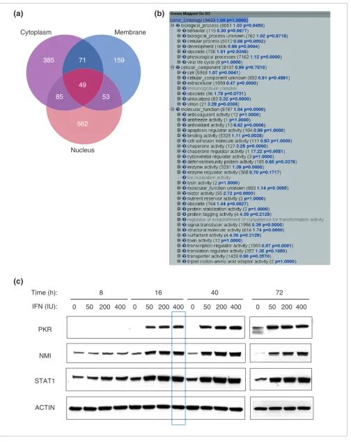 Figure 1 (see legend on previous page)